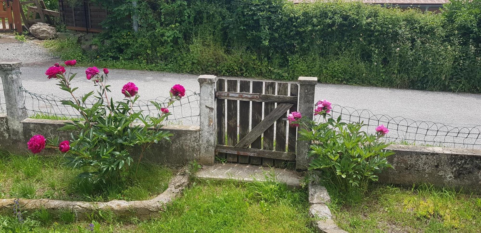 Сasa de vacaciones Le Sapin