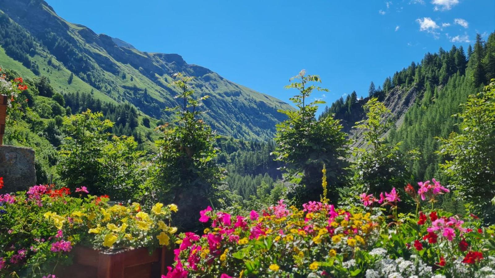 Le Sapin Hébergement de vacances *
